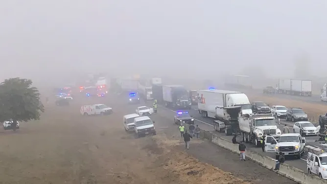 Foggy Accident Scene